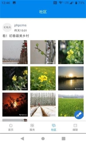 爱槐荫截图