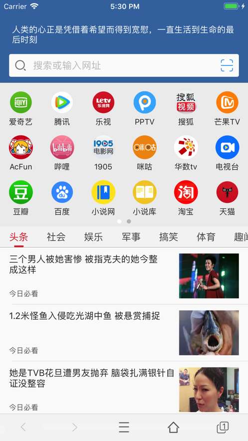 可乐浏览器截图