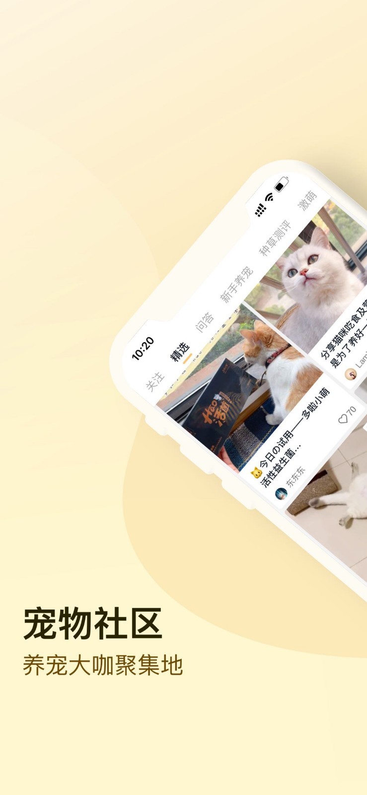 小萌猫短视频截图