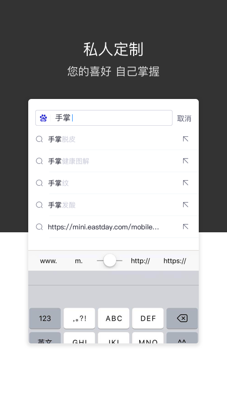 绿叶浏览器截图