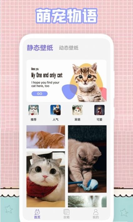 我的猫咪壁纸截图