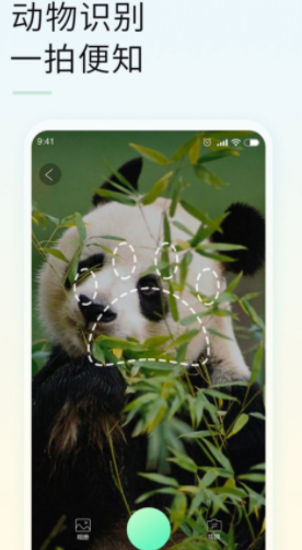 智能拍照识物截图