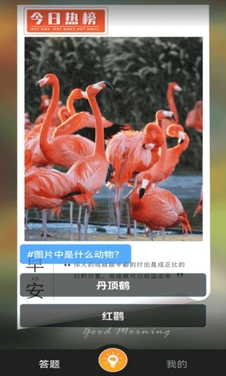 赚米短视频截图