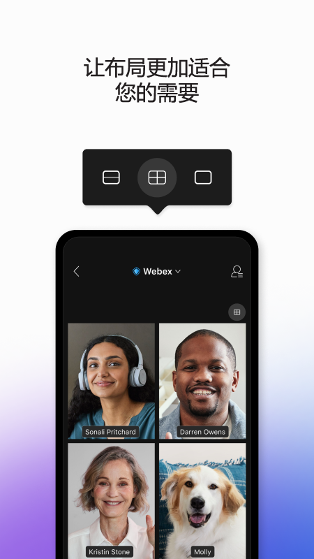 Webex Meet视频会议截图