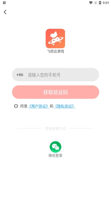 飞鸽云游戏截图