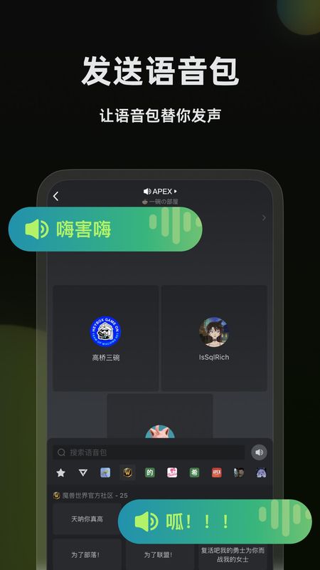 黑盒语音截图