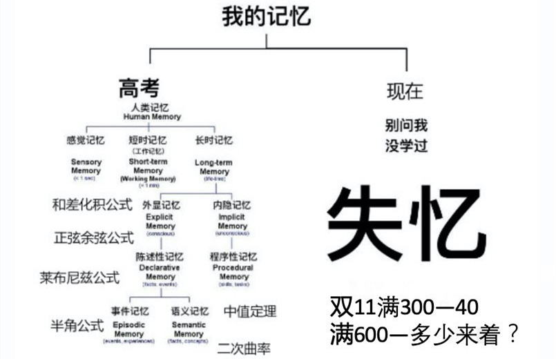 双十一复读生是什么梗