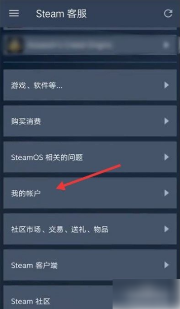 steam手机版